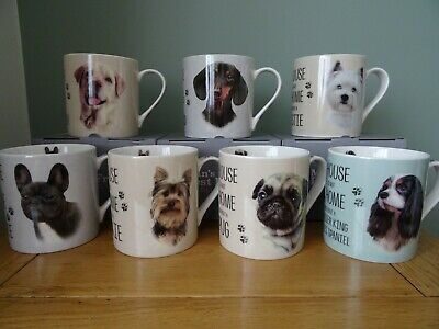 DOGS COLLECTION